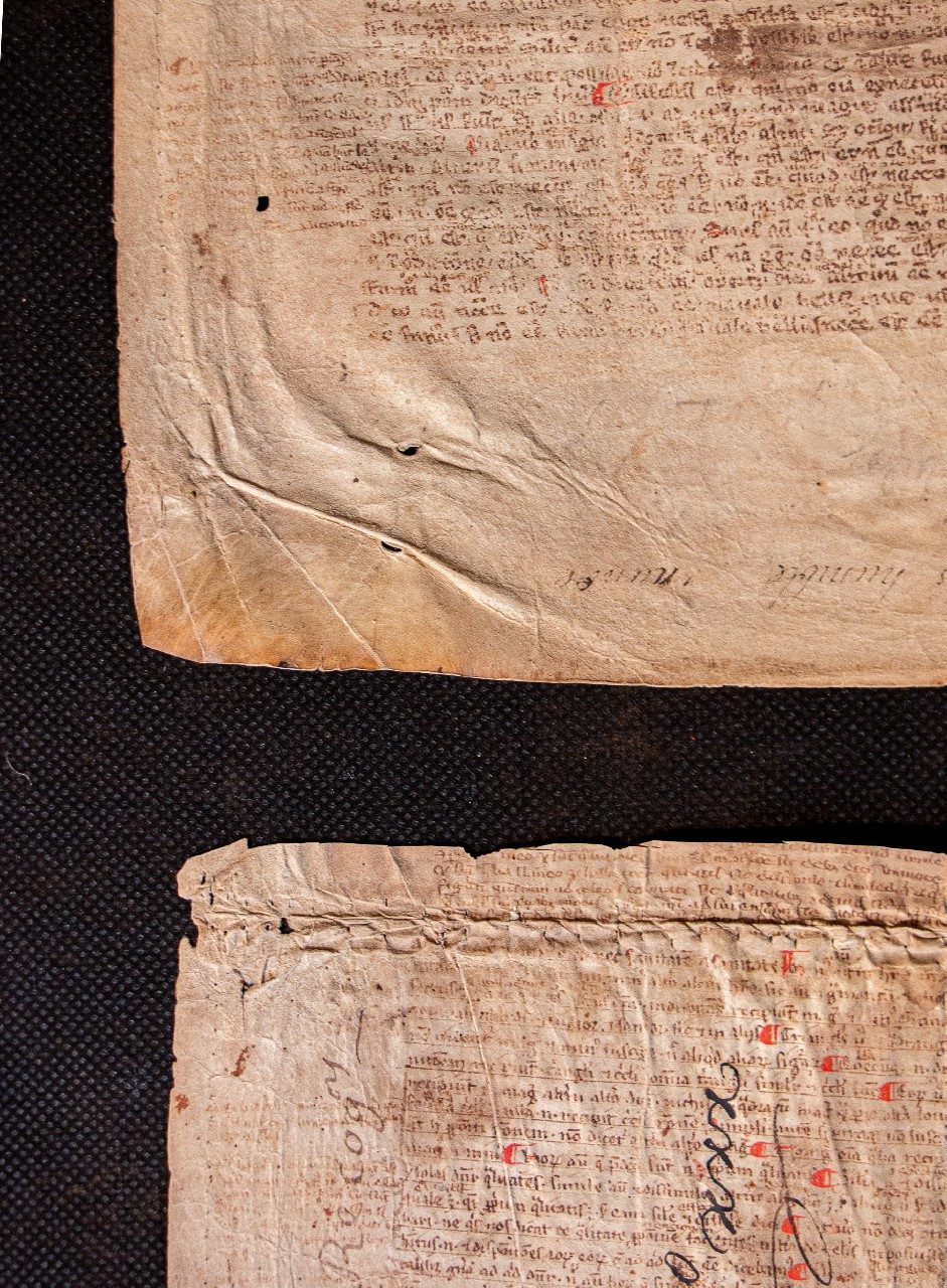 Commentary on Aristotle, Categoriae, and the same authors translation of Perihermenias BOETHIUS [MS] C.13th