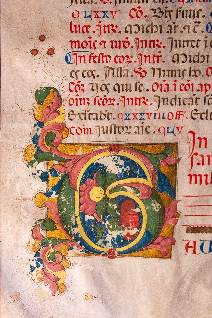 Illuminated inital 1500 huge leaf on vellum, from Siena or Florence.