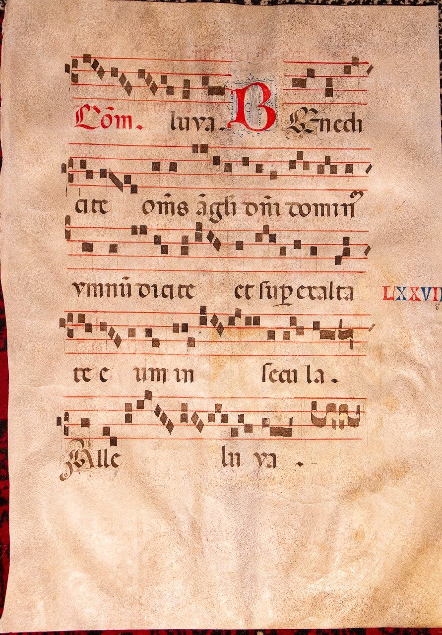 Illuminated inital 1500 huge leaf on vellum, from Siena or Florence.