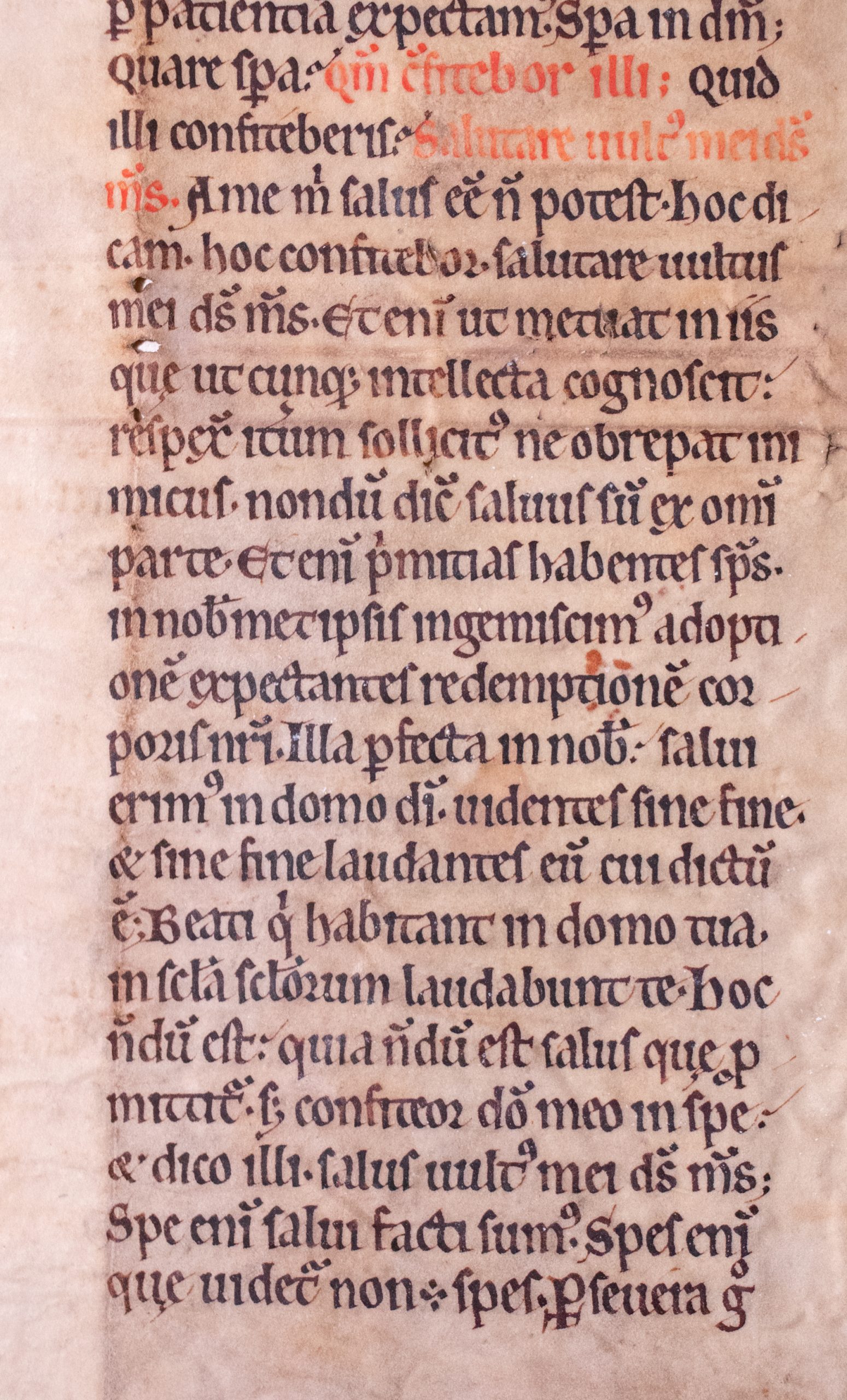 A single leaf; Augustine’s Enarrationes in Psalmos, for Psalm 41:6-8 [manuscript]
