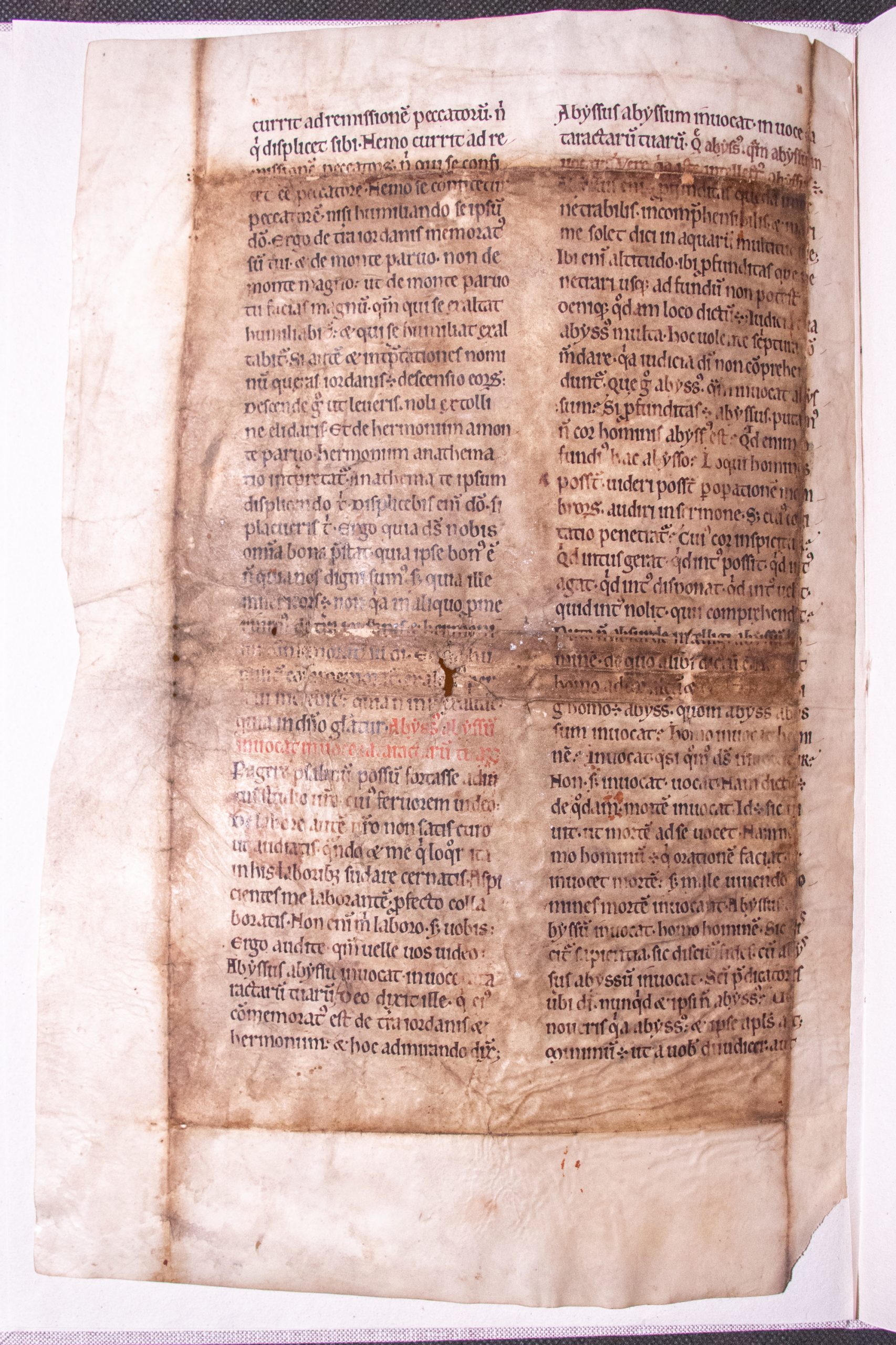 A single leaf; Augustine’s Enarrationes in Psalmos, for Psalm 41:6-8 [manuscript]