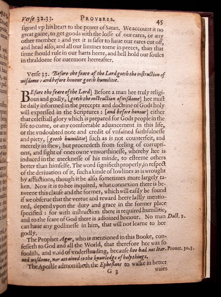 Plaine and familiar exposition of the Proverbs 1608 by Dod & Cleaver