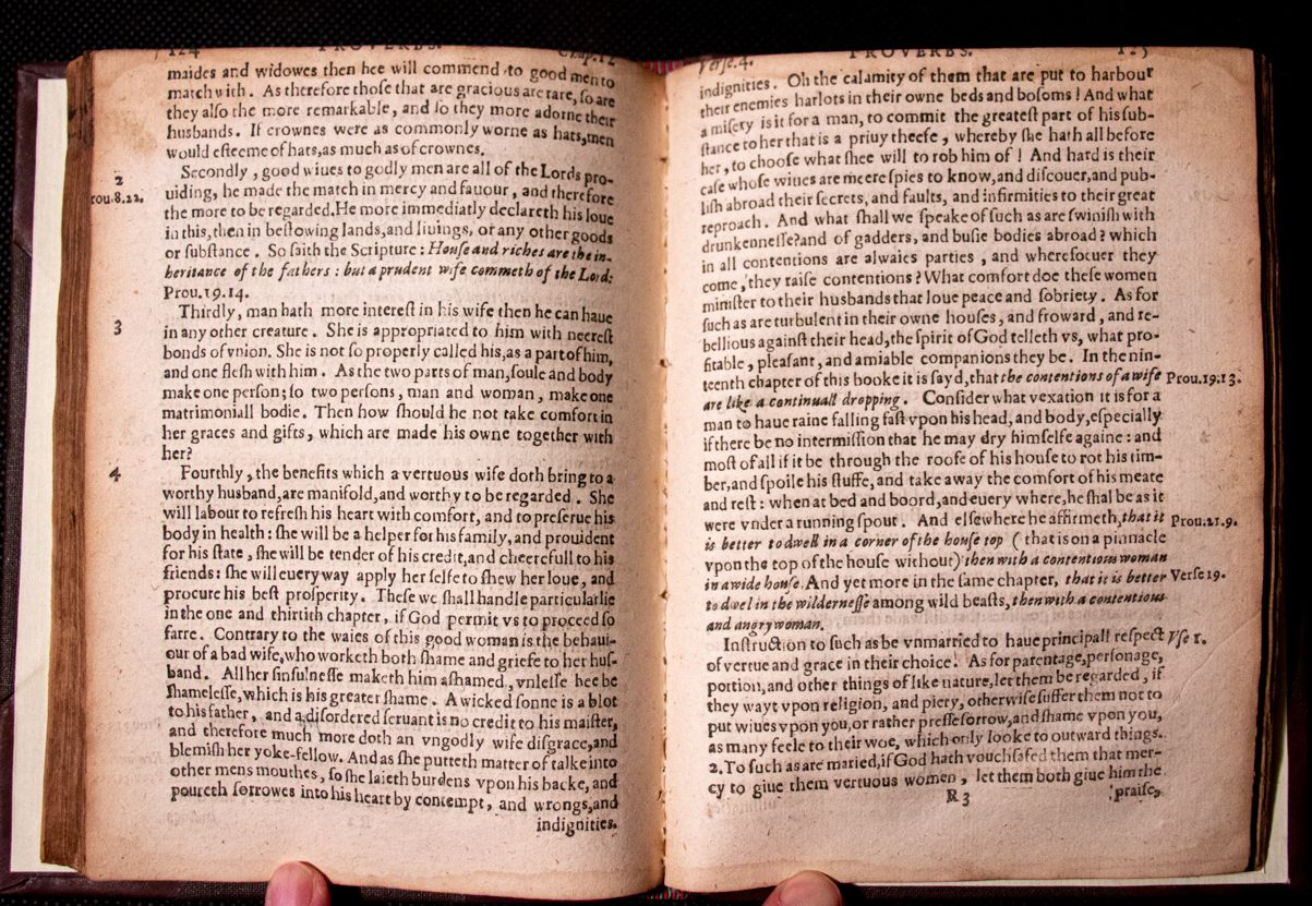 Plaine and familiar exposition of the Proverbs 1608 by Dod & Cleaver