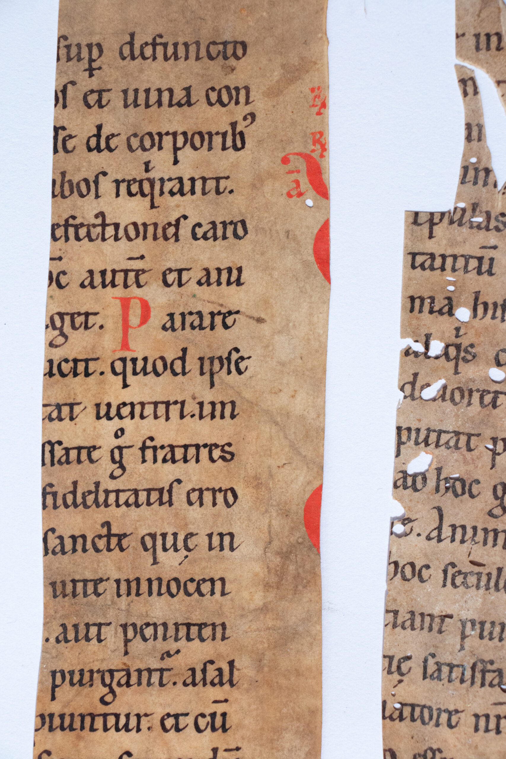 Two fragments of S.Augustine Sermones suppositii de Sanctis CLXXXIX and CXC, in Cathedra S. Petri, decorated manuscript on parchment, in Latin, 2 strips cut vertically from a single leaf. France (possibly England) mid-12th century. Two fragments of S.Augustine Sermones suppositii de Sanctis CLXXXIX and CXC, in Cathedra S. Petri, decorated manuscript on parchment, in Latin, 2 strips cut vertically from a single leaf. France (possibly England) mid-12th century.