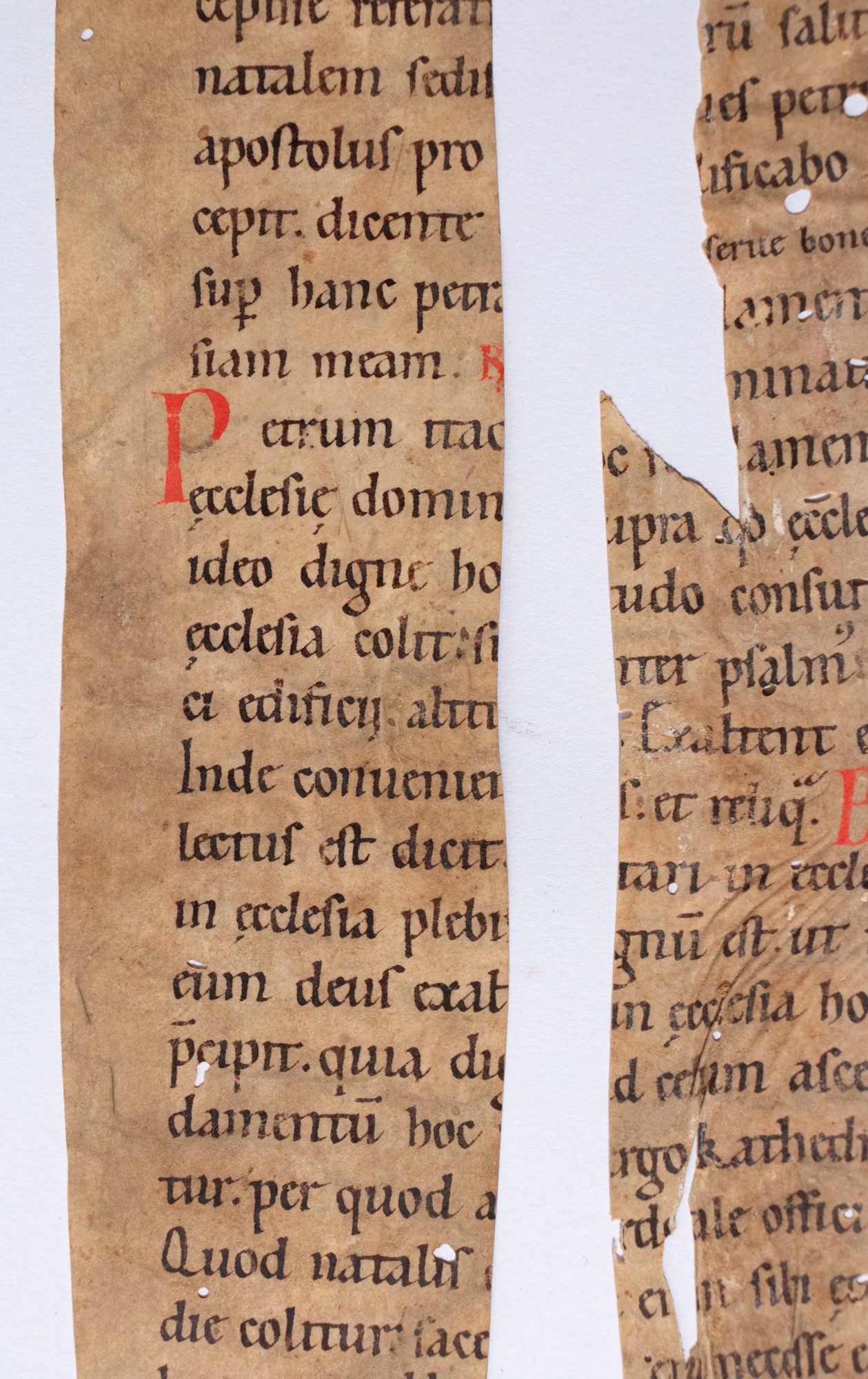 Two fragments of S.Augustine Sermones suppositii de Sanctis CLXXXIX and CXC, in Cathedra S. Petri, decorated manuscript on parchment, in Latin, 2 strips cut vertically from a single leaf. France (possibly England) mid-12th century. Two fragments of S.Augustine Sermones suppositii de Sanctis CLXXXIX and CXC, in Cathedra S. Petri, decorated manuscript on parchment, in Latin, 2 strips cut vertically from a single leaf. France (possibly England) mid-12th century.