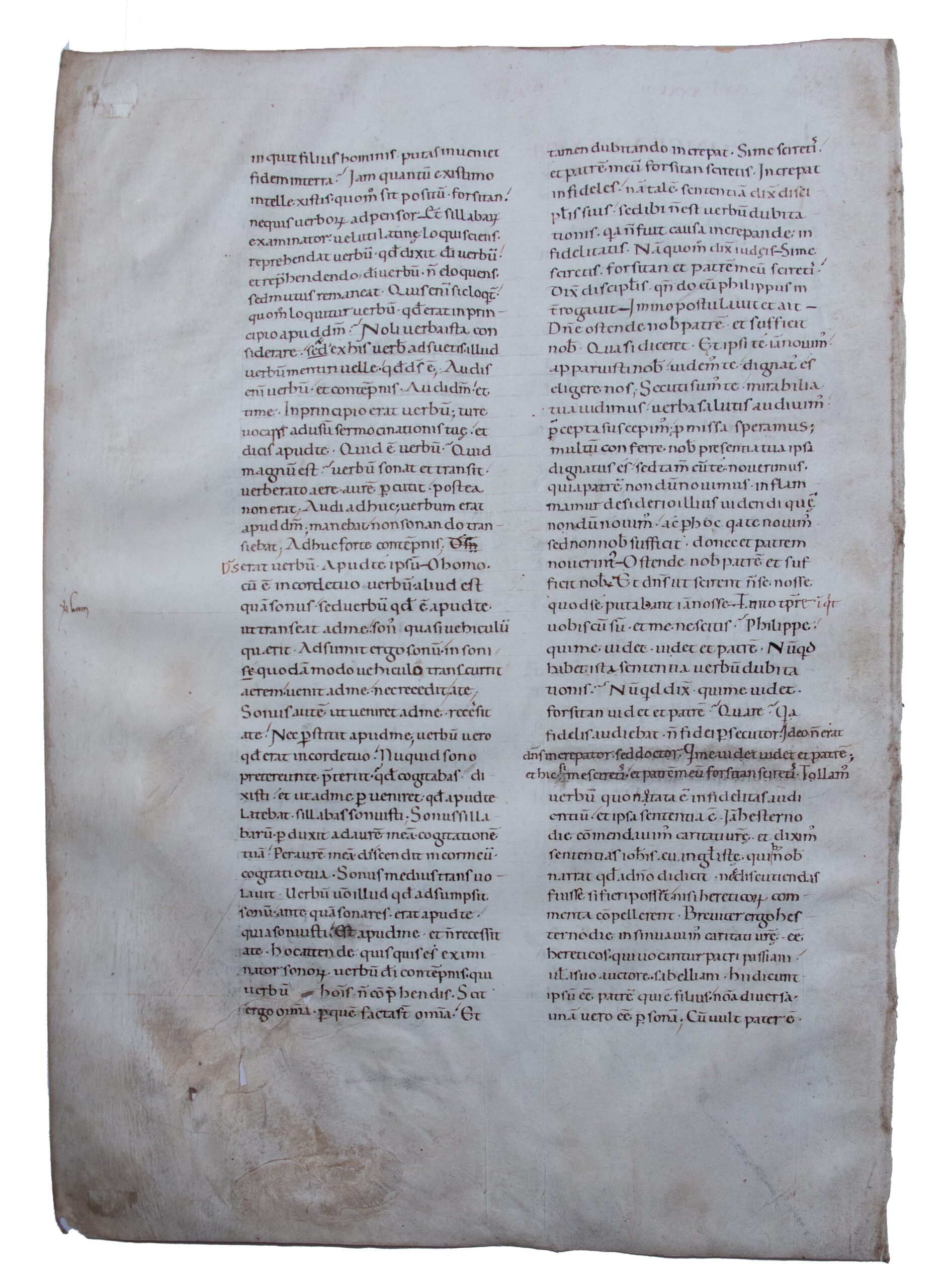 Beautiful painted white vine initial, Augustine’s Commentary on John’s Gospel, Italy C12th