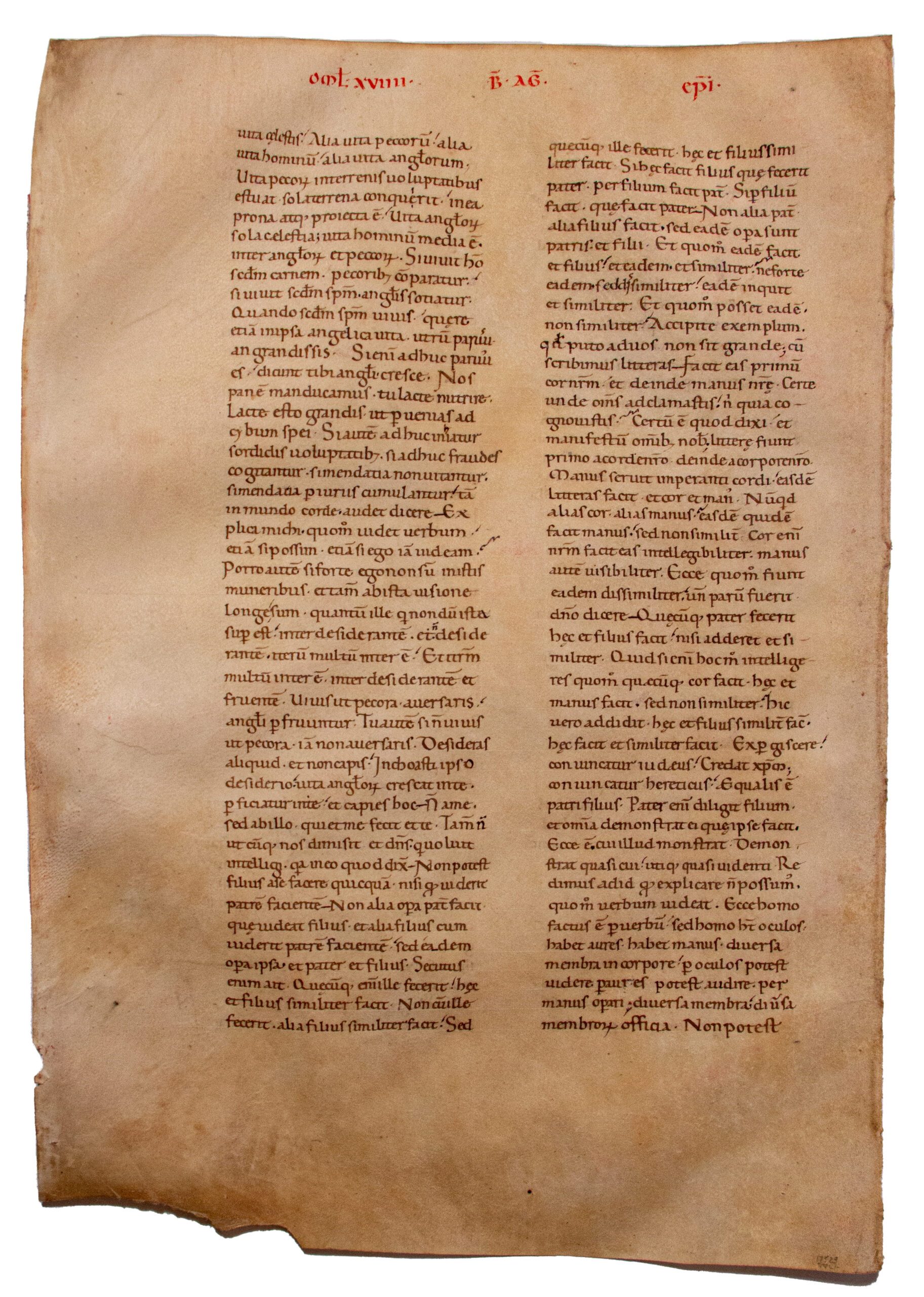 AUGUSTINE, St. Tractatus in Iohannem, Homilies. Leaf, parchment. Italy (probably Tuscany), mid-twelfth century.