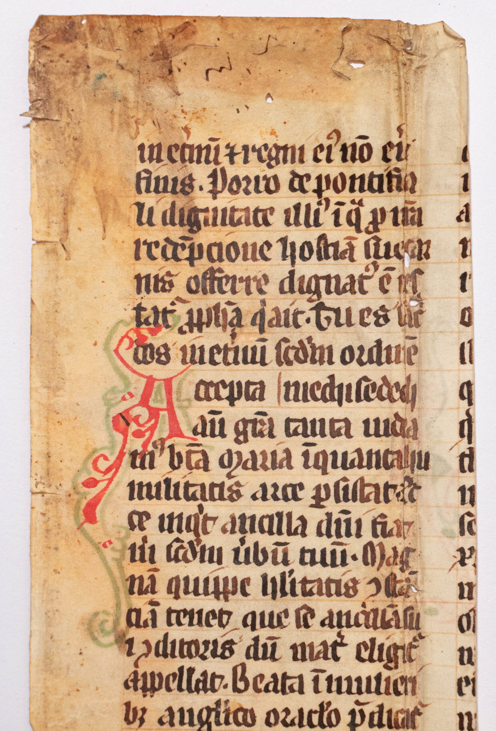 A Leaf from a C15th Homiliary quoting Bede