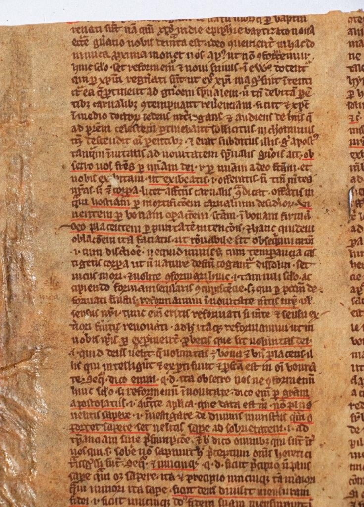 Two fragments of an unidentified Commentary on the New Testament, in Latin, manuscript France, C14th