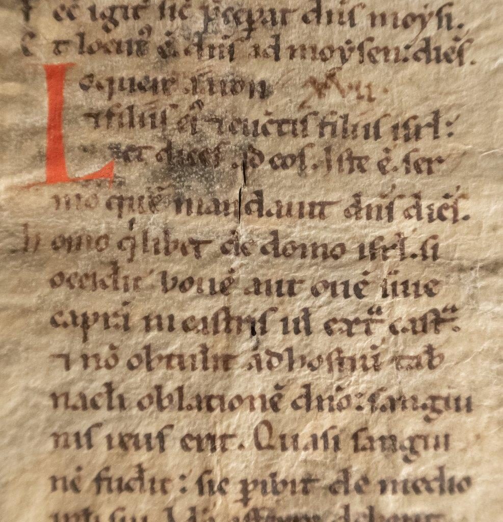 Leviticus Ch.15-17 from a German Bible mid-C12th