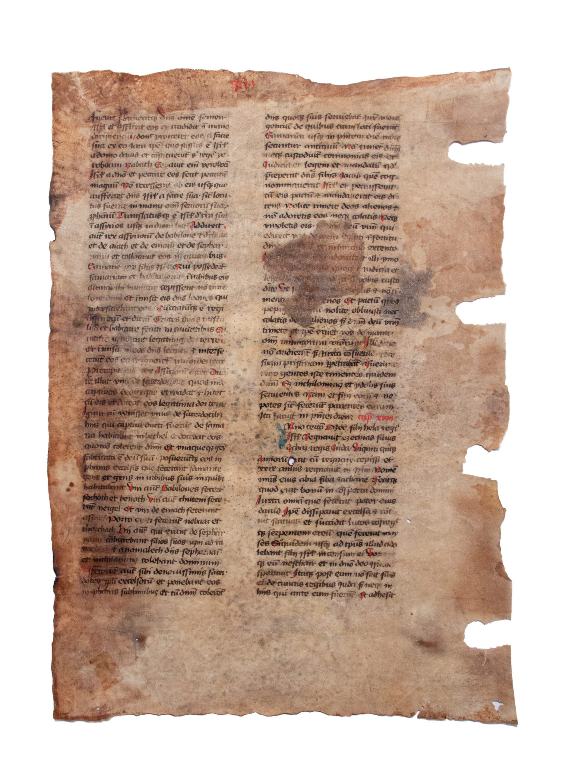 Leaf from a Bible, II Kings 17, C15th manuscript in Latin on parchment