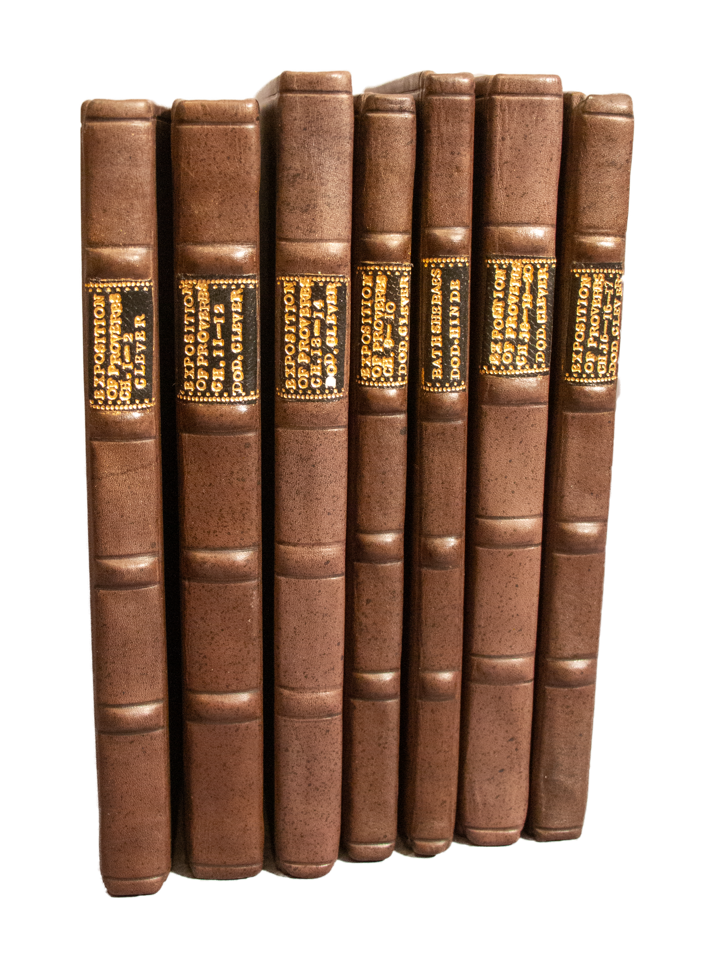7 vols of Dod & Cleaver’s ‘Expositions on Proverbs’ from 1611