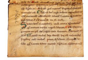 Journal Stephen Butler Rare Books & Manuscripts