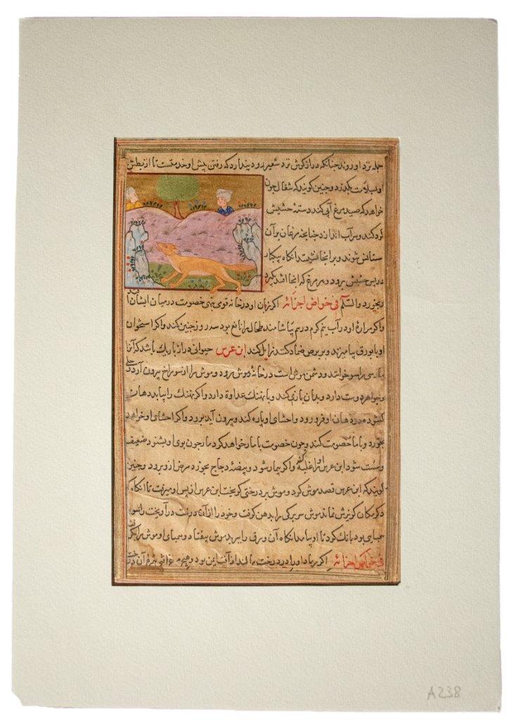 Single leaf from al-Qazvīnī’s Aǧā’ib, a Jackal C16th