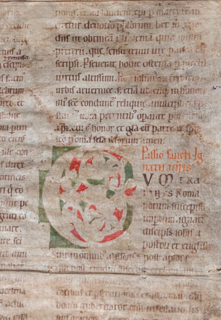 Very large manuscript with white vine initial, German C12th