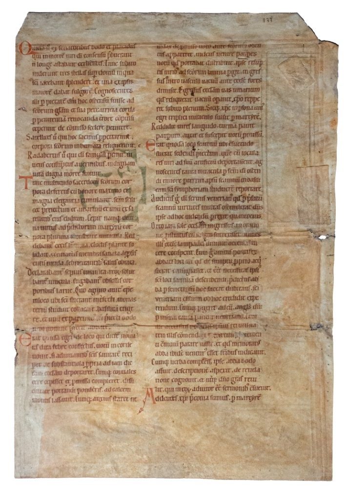 Very large manuscript with white vine initial, German C12th