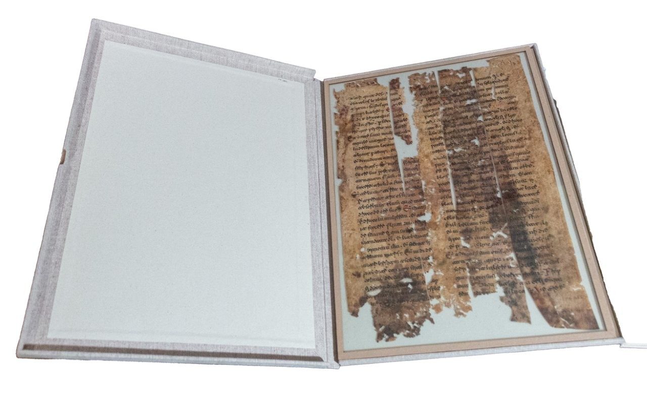 New books and manuscripts arriving soon for the New York Book Fair 2025