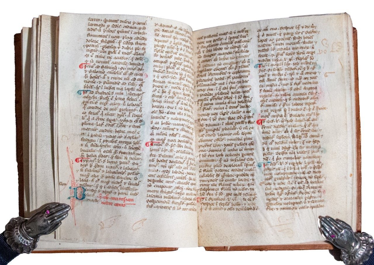 A possibly unique and unknown manuscript from the library of Sir Thomas Phillipps. Anonymous Dominican compiler, Liber de fructibus penitentiae (alias Flores de penitentia or Summa aurea) [Southern France (Provence?), 14th century (1st half)]