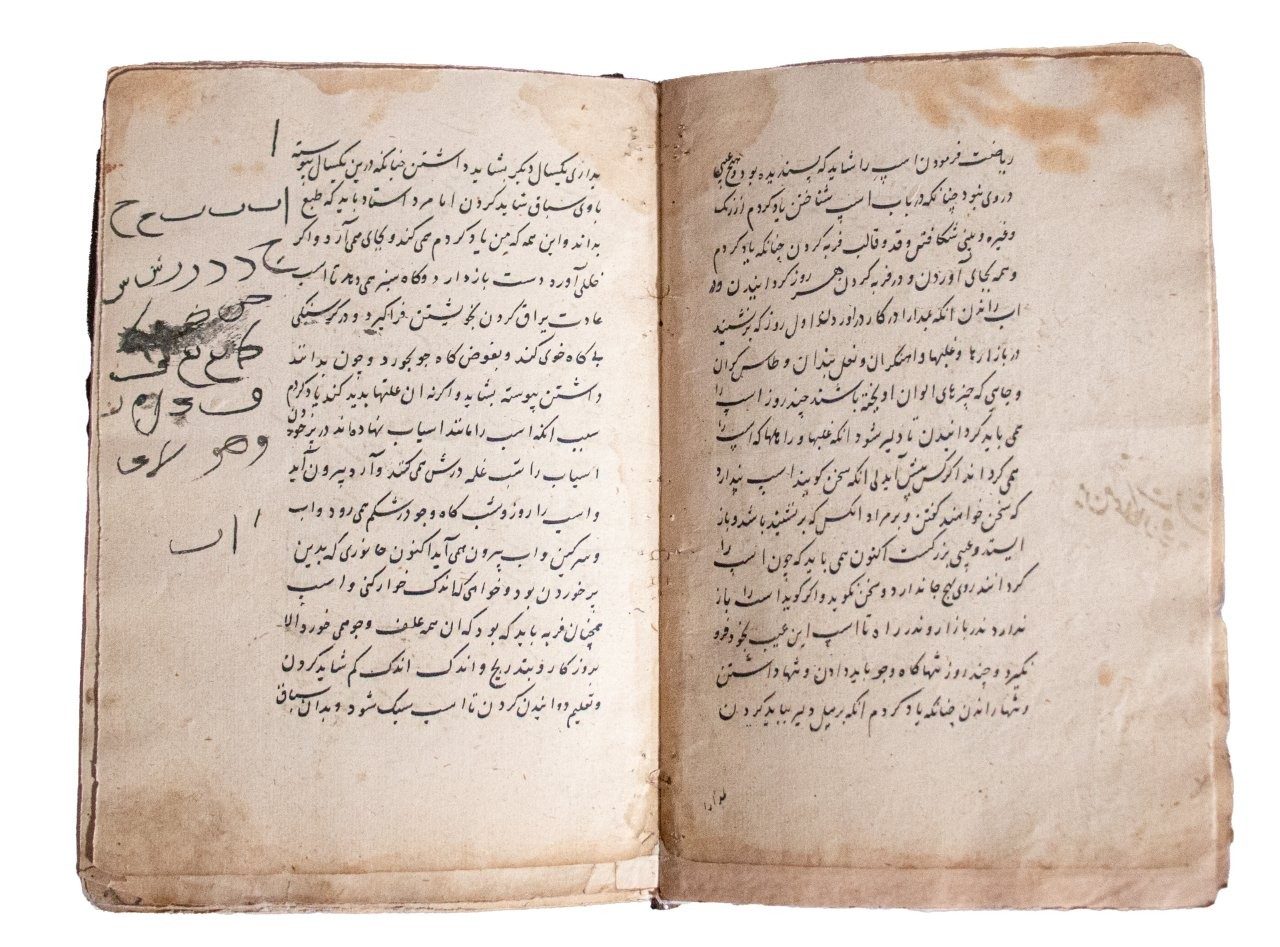 Resaleh Fors Nameh Mossavvar  Manuscript of Anatomy of a Horse C18th / C19th   Persia, 18th/19th Century