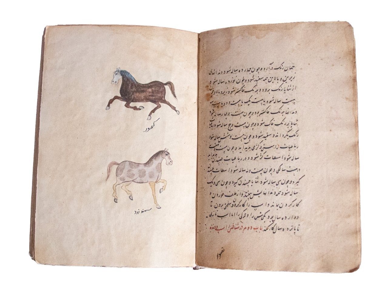 Resaleh Fors Nameh Mossavvar  Manuscript of Anatomy of a Horse C18th / C19th   Persia, 18th/19th Century