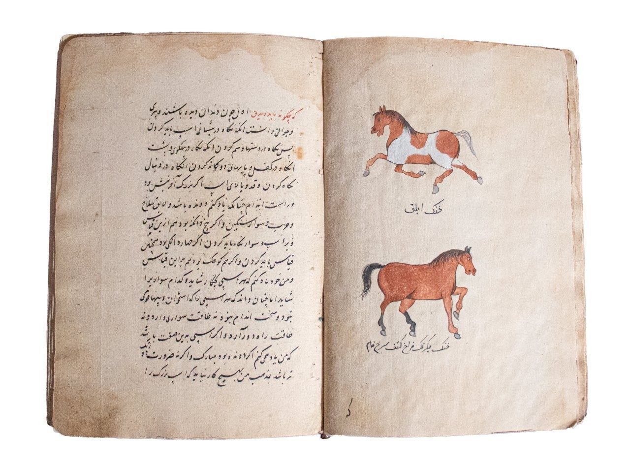 Resaleh Fors Nameh Mossavvar  Manuscript of Anatomy of a Horse C18th / C19th   Persia, 18th/19th Century