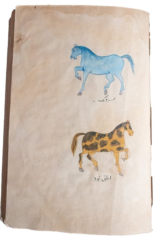 Resaleh Fors Nameh Mossavvar  Manuscript of Anatomy of a Horse C18th / C19th   Persia, 18th/19th Century