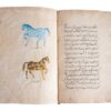 24 miniatures in a copy of Hafez’s Divan from Kashmir, late C18 or early C19