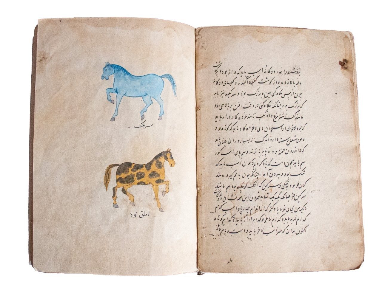 Resaleh Fors Nameh Mossavvar  Manuscript of Anatomy of a Horse C18th / C19th   Persia, 18th/19th Century