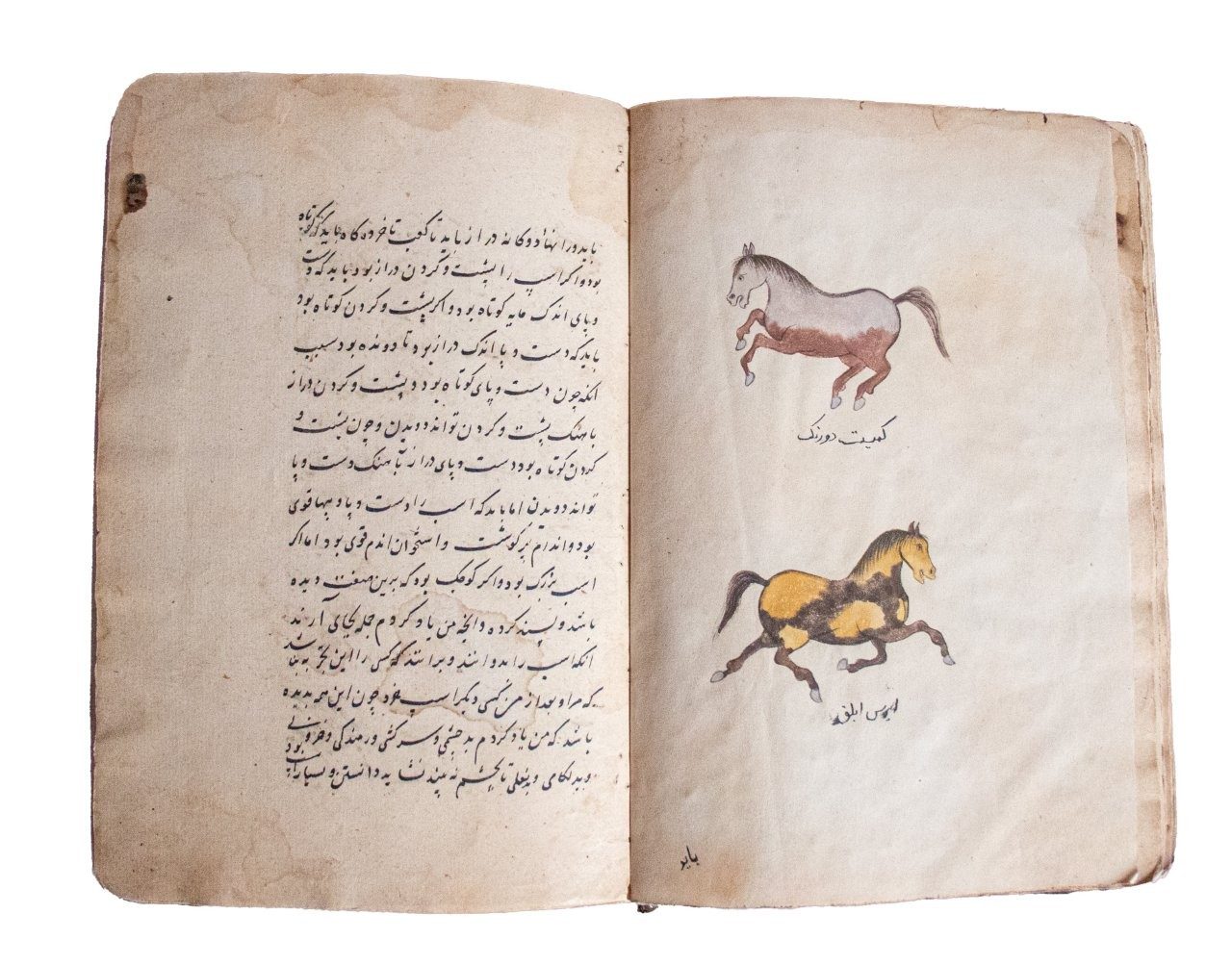 Resaleh Fors Nameh Mossavvar  Manuscript of Anatomy of a Horse C18th / C19th   Persia, 18th/19th Century