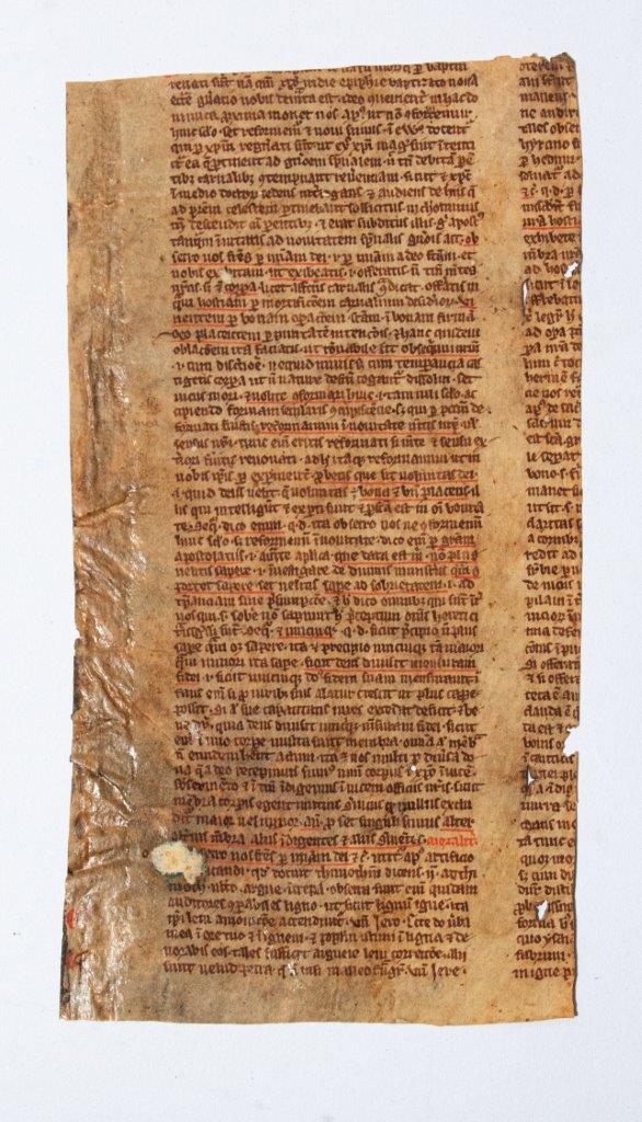 Two fragments of an unidentified Commentary on the New Testament, in Latin, manuscript on parchment C14th