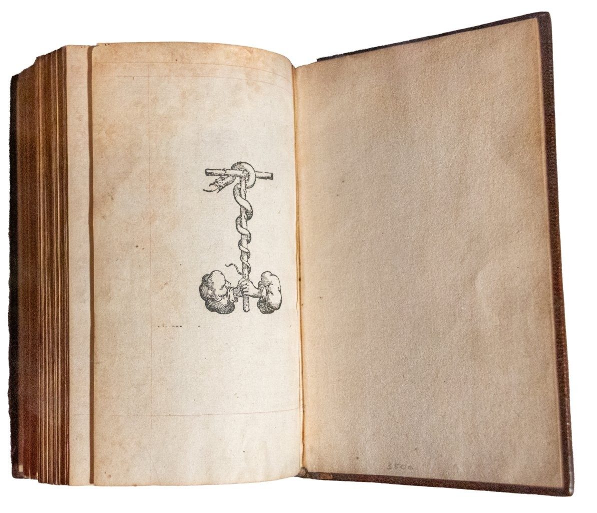 Gougework binding of Thomas Wotton, binder ‘C’, Antonio de Guevara, 1549 Gougework binding of Thomas Wotton, binder ‘C’, Antonio de Guevara, 1549