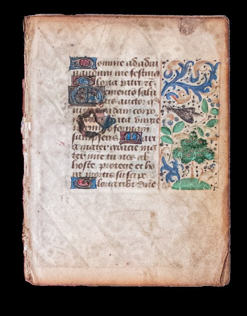 Complete gathering of 8 leaves from a Book of Hours, Flanders or northern France c.1450-1475