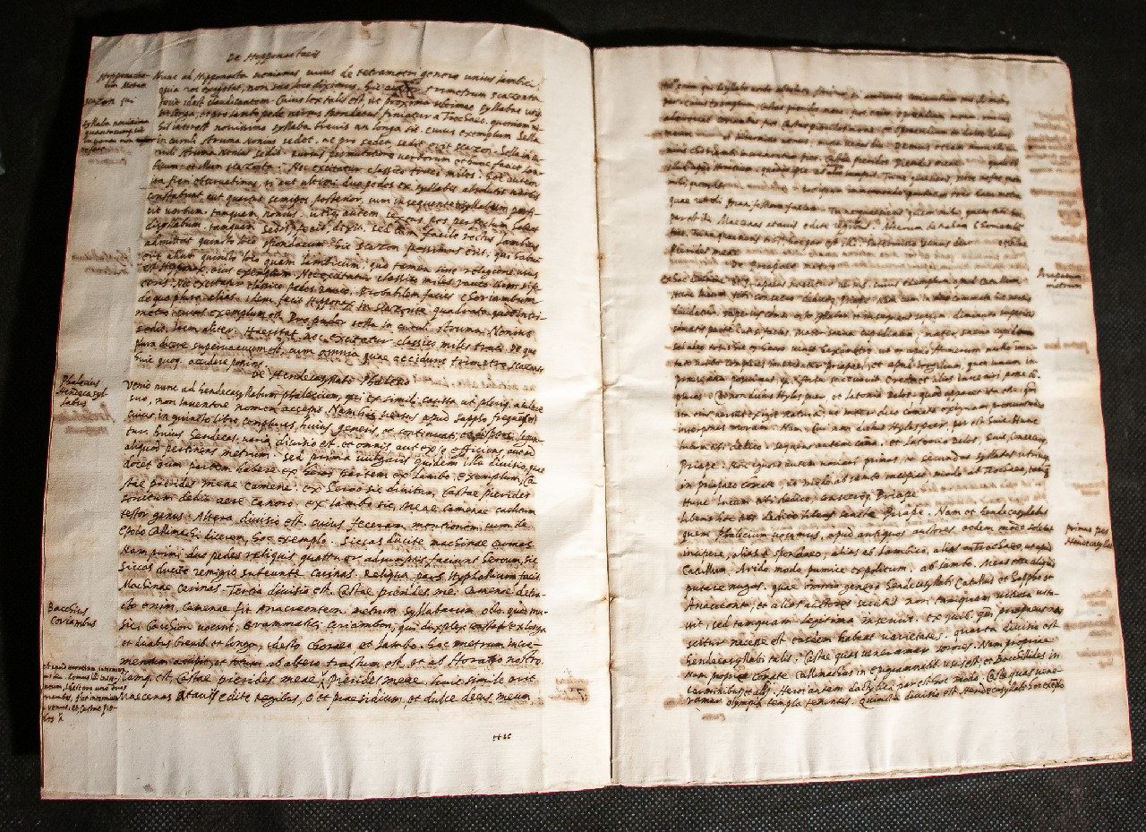 A teaching manuscript of Atilius Fortunatianus C16th – Ars de metris (portion)