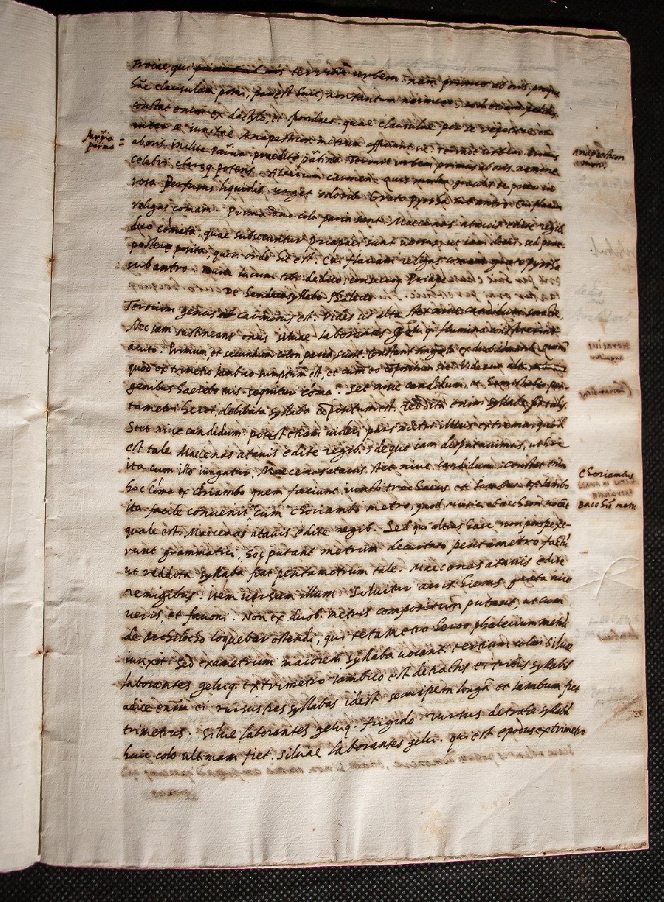 A teaching manuscript of Atilius Fortunatianus C16th – Ars de metris (portion)