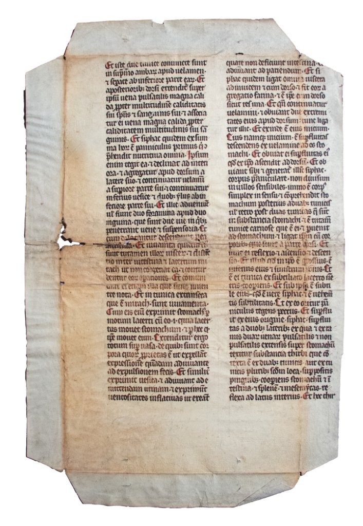 C13th manuscript leaf of Avicenna’s ‘Liber canonis de medicinis’ on parchment, France
