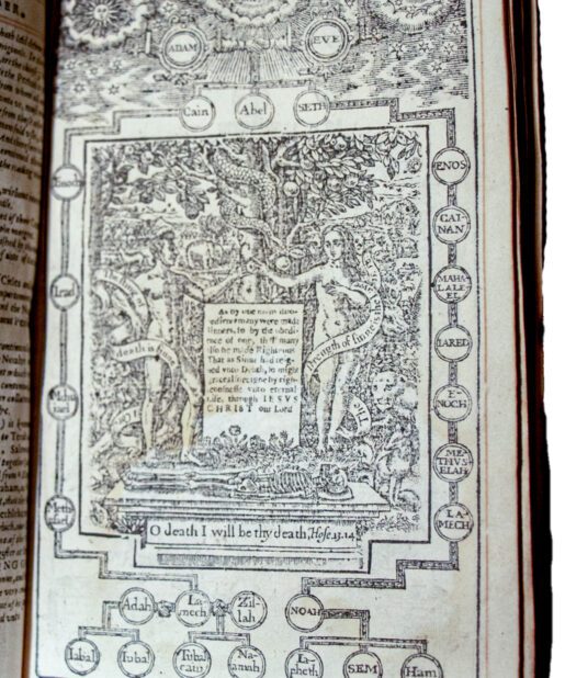 Home Stephen Butler Rare Books & Manuscripts