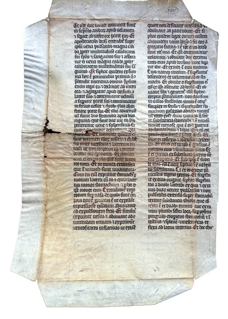 C13th manuscript leaf of Avicenna’s ‘Liber canonis de medicinis’ on parchment, France