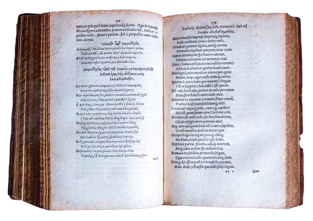 A fine C16th Entrelac binding possibly by the celebrated Ève family of binders