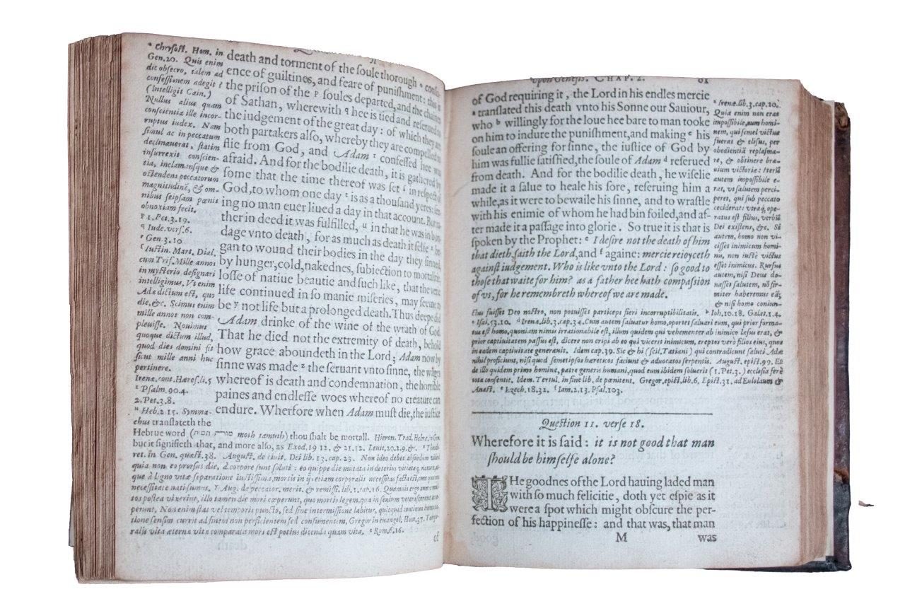 The Hardest Places of Genesis Opened’: A Monumental Elizabethan Commentary on Scripture’s Most Difficult Passages. 1602