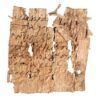 Early Arabic Business Letter Fragment on Vellum with Greek Insertion Egypt or Syria, 7th–8th century