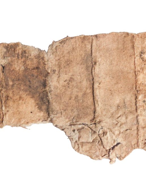 Home Stephen Butler Rare Books & Manuscripts