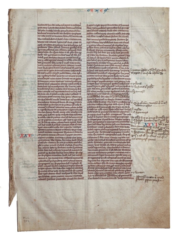 A Medieval English Voice in the Margin: Two Leaves from the ‘Cambridge Bible’, with Latin and Middle English Glosses, 1220s