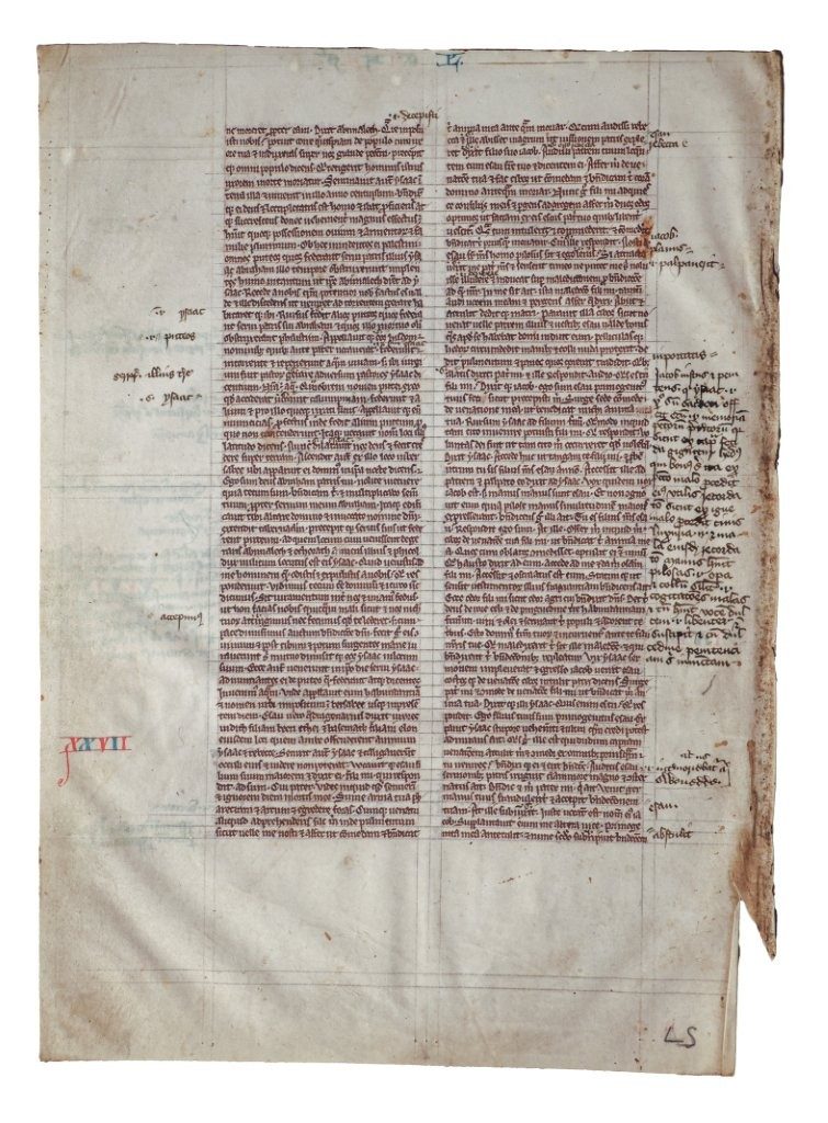 A Medieval English Voice in the Margin: Two Leaves from the ‘Cambridge Bible’, with Latin and Middle English Glosses, 1220s