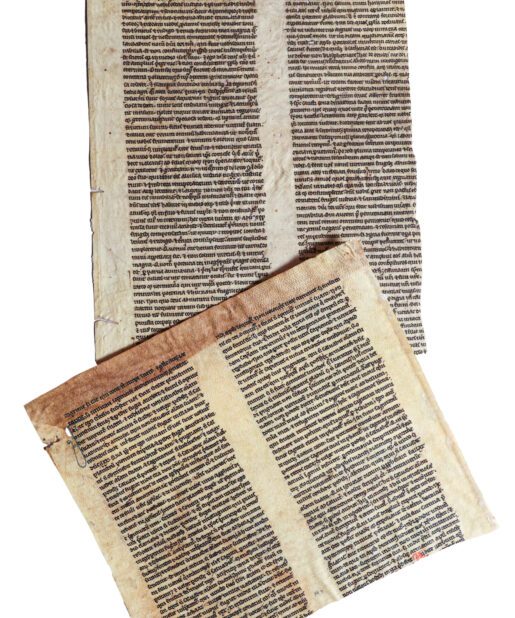 Home Stephen Butler Rare Books & Manuscripts