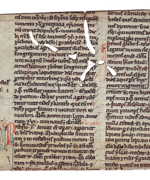 Manuscripts Stephen Butler Rare Books & Manuscripts