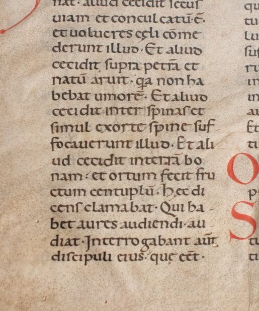 Manuscripts Stephen Butler Rare Books & Manuscripts
