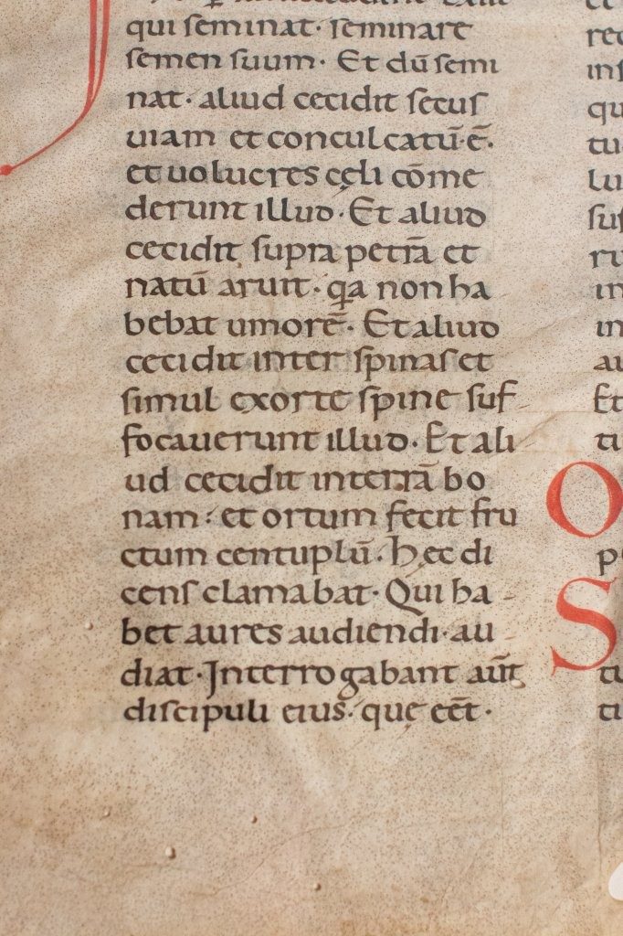 A Monumental Romanesque Lectionary from Twelfth-Century Italy
