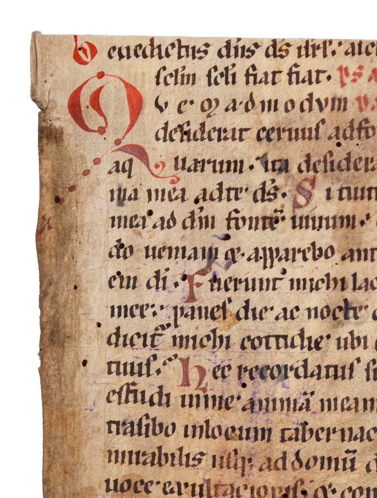 A Romanesque Psalter leaf opening with one of the most evocative of the Psalms: “As the hart longs for the springs of water” Germany C12th