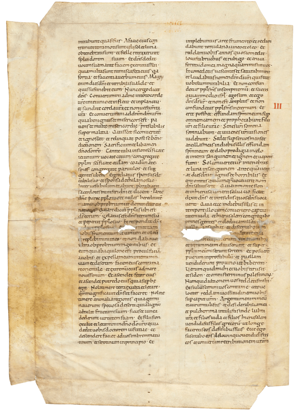 A leaf from an illuminated Giant Atlantic Bible (or ‘Biblia Atlantica’) C11th Italy A leaf from an illuminated Giant Atlantic Bible (or ‘Biblia Atlantica’) C11th Italy