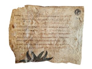 Pseudo-Apuleius Herbarius &nbsp;&mdash; Carolingian illuminated fragments Stephen Butler Rare Books & Manuscripts